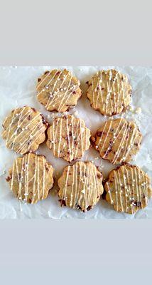 The Chocolate Tortoise