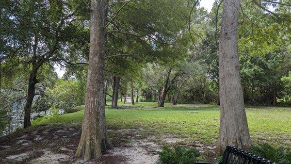 Trail by the Hillsborough River