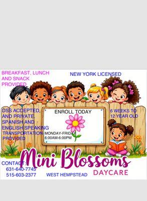 Mini Blossoms Daycare