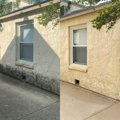 Surface cleaning kings