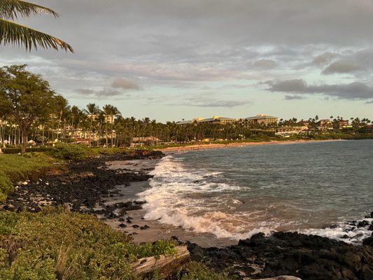 Genger Travel Services