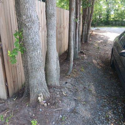 Rjs Landscaping & Multi Purpose