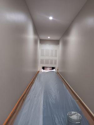 Monkeys Painting & Drywall