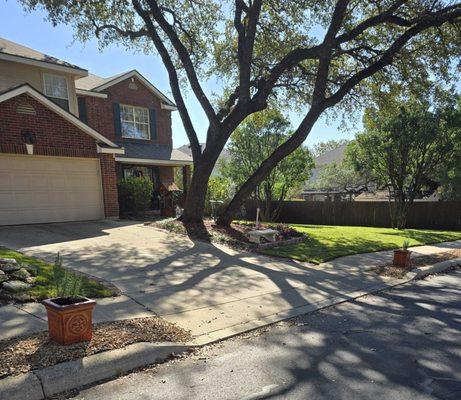 Established zoysia lawn