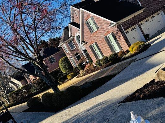 Barajas Tree Services & Landscaping