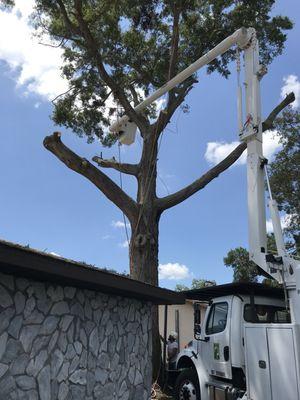 Danny's Tree Service