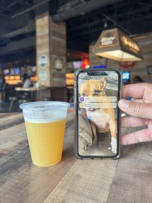 The Local Draught House DTSP