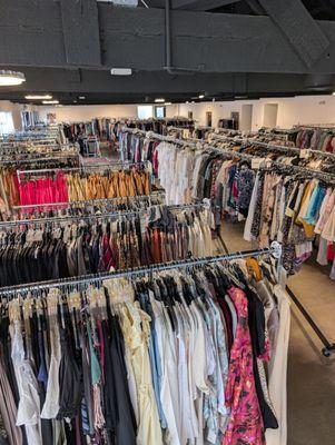 Tart Collections Outlet