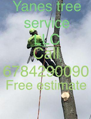 Yanes Tree Service