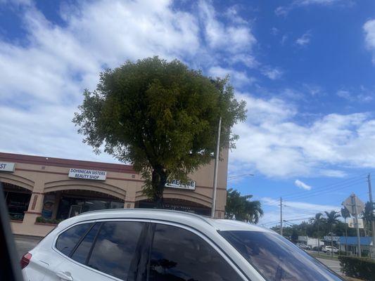 The Dominican Sister's Beauty Shop