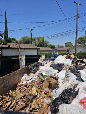 Guate Recycling & Cleaning Services