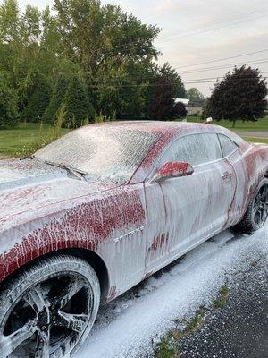 Mikes Mobile Detailing