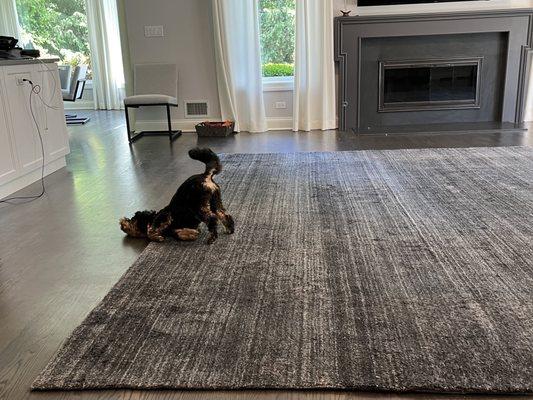 Premier Oriental Rug Cleaning