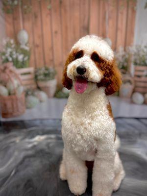 to "chic". Ready to strut her stuff and knowing it!