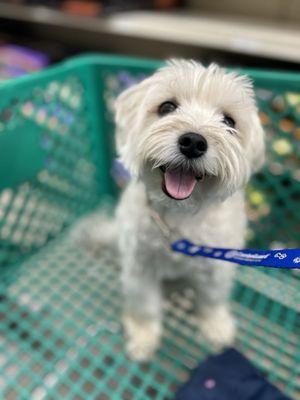 Southern Agriculture