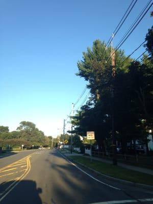 Town Of Needham -- Great Plain Avenue / Route 135 (by Olin College), Needham