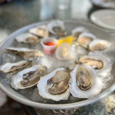 Oysters