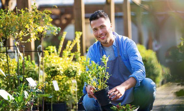 Better Care Landscaping