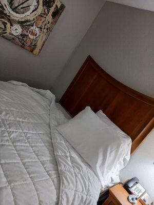 The oh so comfy bed!!