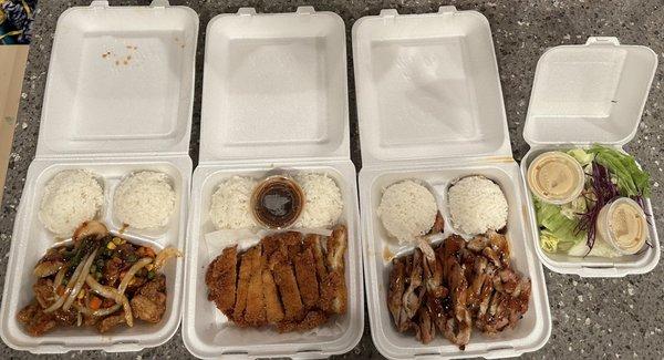 Kung Pao Chicken, Chicken Katsu, Chicken Teriyaki and the "FAMILY SIZE" salad....
