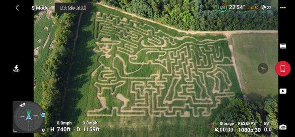 Corn maze 2022