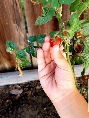 Happy Times Family Child Care