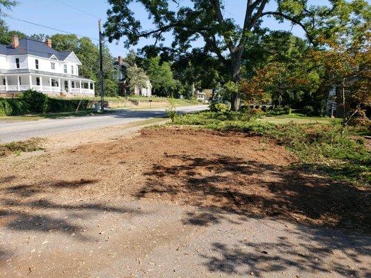 Top Em' And Drop Em' Tree Service