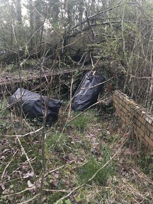 EarthCare Landscape Management