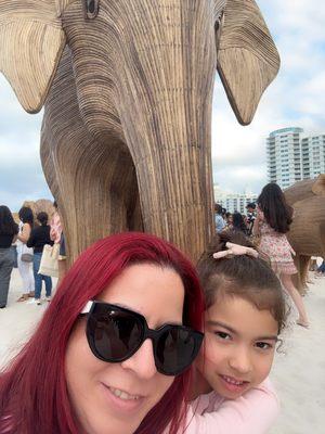 Family and Friends Consultant