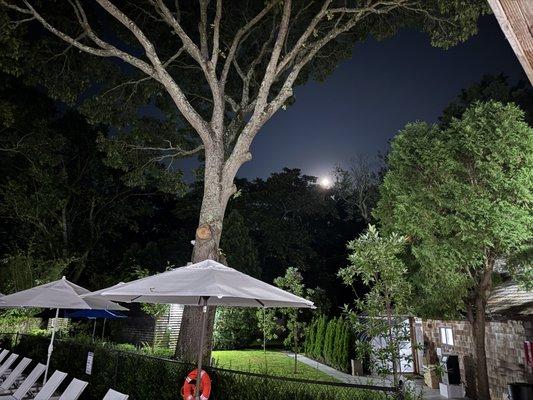 Wainscott Woods Retreat