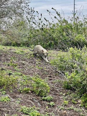 South Texas EcoTourism Center