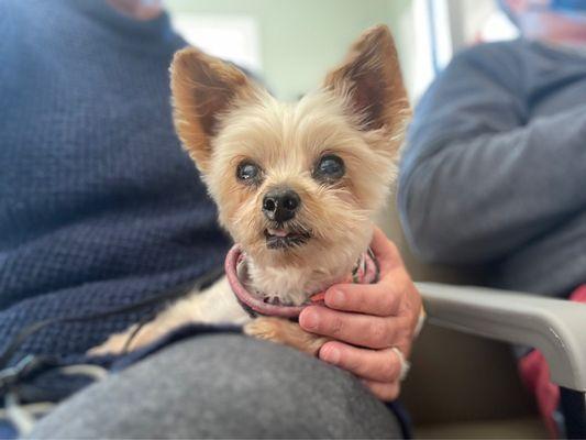 Sweet Tea is calm Praise the Lord!