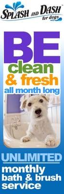 Splash and Dash Groomerie & Boutique