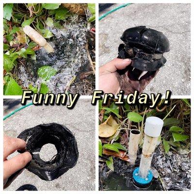 Got a call that an artesian well is overflowing, rush there to find the old seal being a plunger..needless to say it's now fixed&up to code