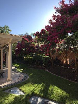 Affordable Season Landscaping Care