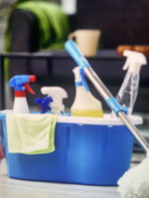 Antimugrei cleaning service