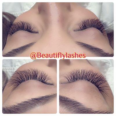 Beautifly Lashes