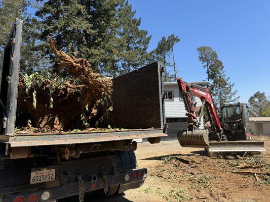 Sonoma County Soil Company, Excavation and Hauling