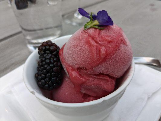 Raspberry sorbet