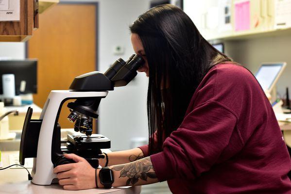 Four Seasons Animal Hospital