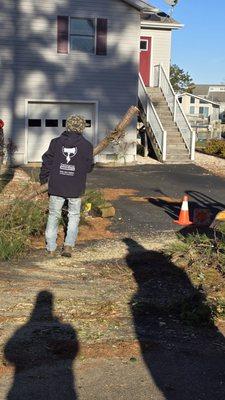 Delmarva Arborists