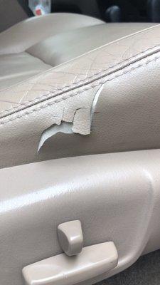 Leather and Vinyl Restoration