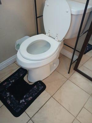 Plumbing Services Erick