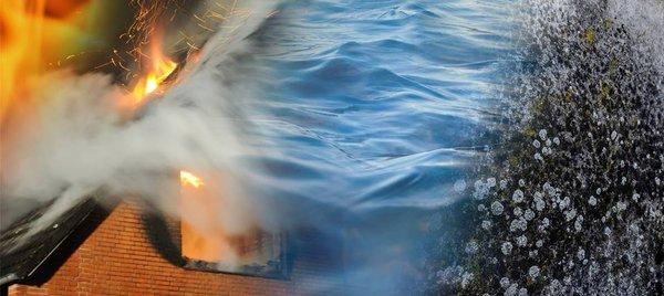 CREW Construction & Restoration