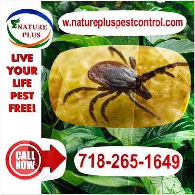 Nature Plus Pest Control
