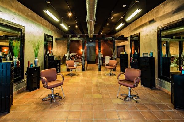 Basil Bailey Salon