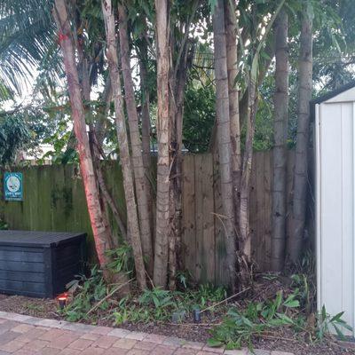 A&K Tree Service and More