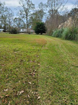 All Cutz Lawn Maintenance LLC