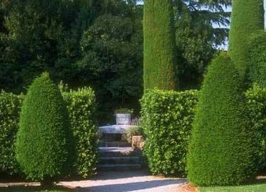 Shivers Bros Tree Service