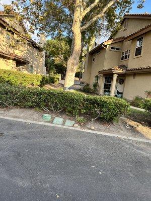 Time for those annoying political adds from our neighbors in eastlake greens